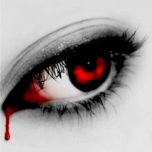 Meet your Posher, Steffi